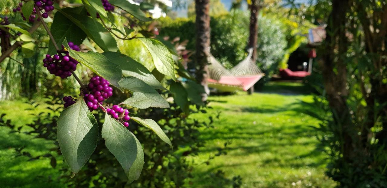 Hotel Gartenresidence Zea Curtis メラーノ エクステリア 写真